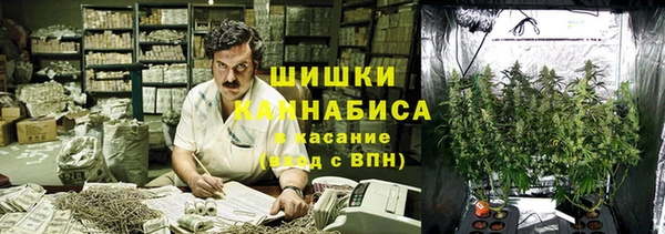 мяу мяу мука Абаза