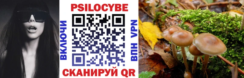 Псилоцибиновые грибы мухоморы  Болхов 